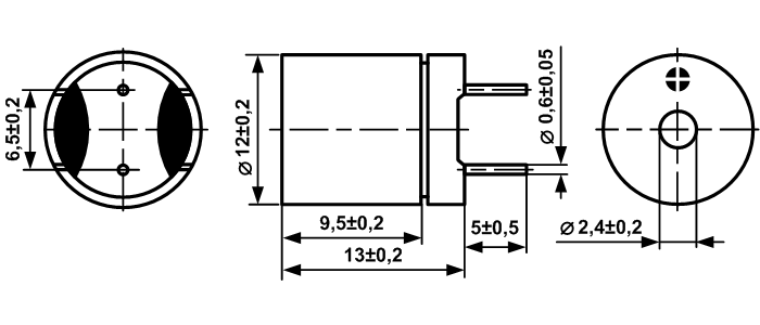 HCM12-113P,  