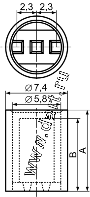 LEDU :    5 3-    