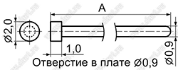 TEST-24, контакт контрольный