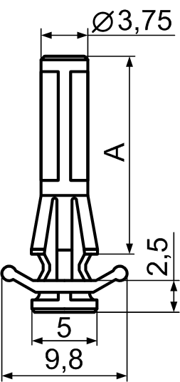  RAM,  