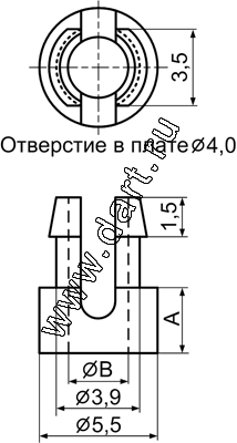  SS2,  