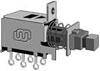 PS22F20,  PS (2P2T),   (Push)