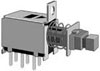 PS22F28,  PS (2P2T),   (Push)