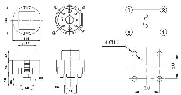 Illuminated Tact Switches