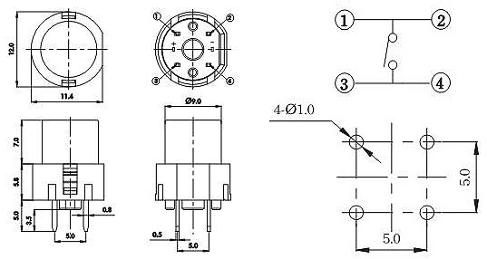 Illuminated Tact Switches