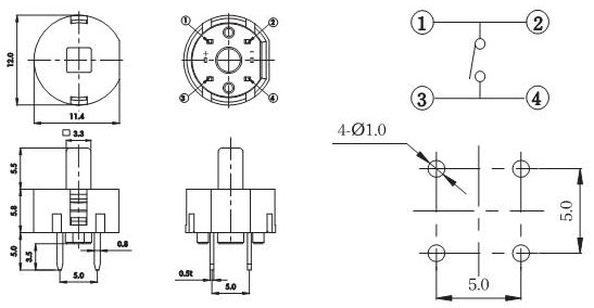 Illuminated Tact Switches