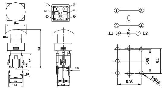 Illuminated Tact Switches