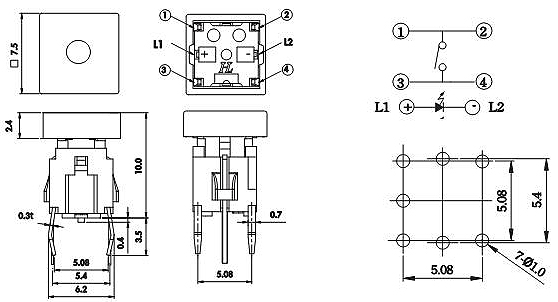 Illuminated Tact Switches