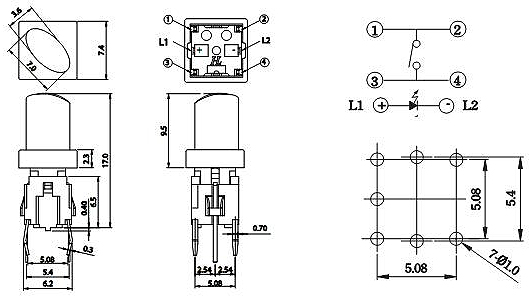 Illuminated Tact Switches