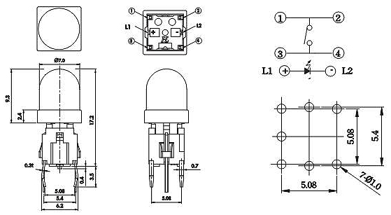 Illuminated Tact Switches