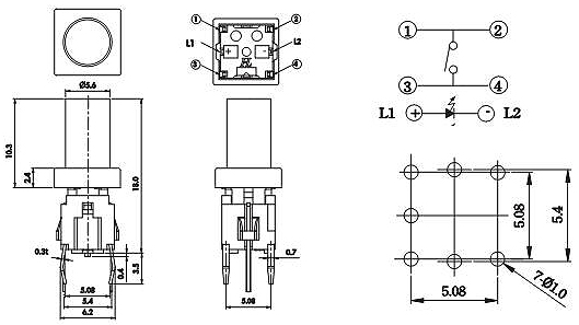 Illuminated Tact Switches