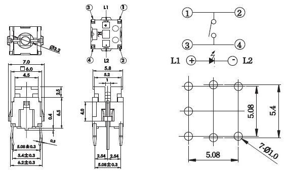 Illuminated Tact Switches