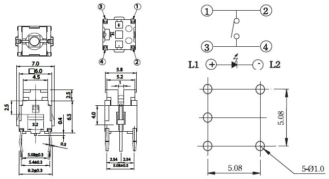 Illuminated Tact Switches