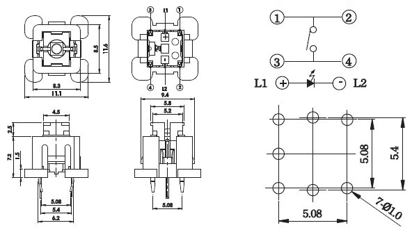 Illuminated Tact Switches