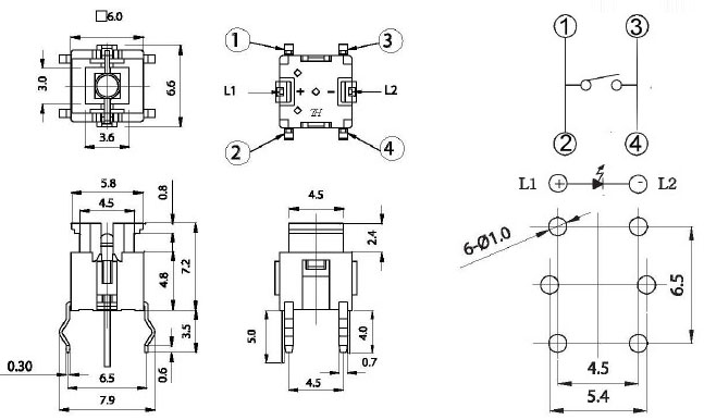 Illuminated Tact Switches